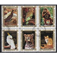 Экваториальная Гвинея 1976. Фауна. 6 марок из серии 7 марок (25)