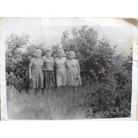 Фото в коллекцию