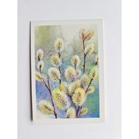 Жебелева 1988 Поздравляю