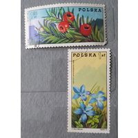 Польша цветы 2шт