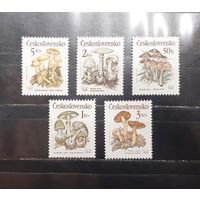 Чехословакия. Флора. Ядовитые грибы (975)