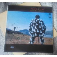 Пластинка Pink Floyd 2LP "Delicate sound of thunder"