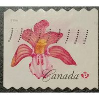 Канада 2006. Флора. Цветы