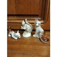 Белка с листами.