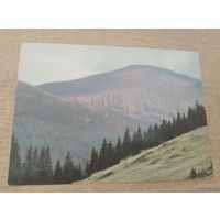 Открытка Закарпаття  Гора Говерла фото Федорова 1970г