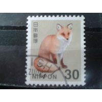 Япония, 2015. Лисица