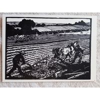 1958. Соколов. На пашне