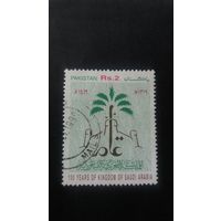 Пакистан 1999