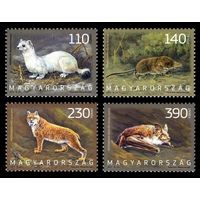 2013 Венгрия 5619-5622 Фауна. Хищные и насекомоядные млекопитающие **