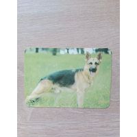 Календарик 1991