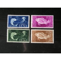 Испанское Ифни 1953, Рыбы