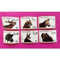 Румыния. Охота. Животные. ( 6 марок ) 1976 года. 2-4.