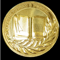 Золотая школьная медаль РФ За особые успехи в учении 1 степени