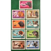 Монголия 1978. Породы собак. Полная серия
