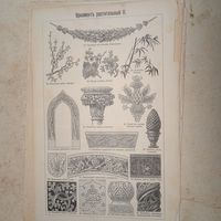 Орнаментъ  растительный . Гравюра энциклопедическая 19-20век. 24х15см. СПБ.   РАСПРОДАЖА КОЛЛЕКЦИИ.