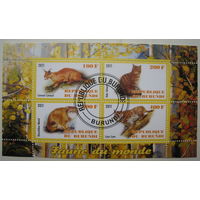 Марки Бурунди 2011 г. Кошки. Блок (g)