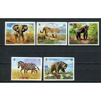 Умм-эль-Кайвайн - 1971 - Дикие животные - [Mi. 478B-482B] - полная серия - 5 марок. MNH.  (Лот 52JC)-TG3P54