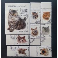 Фауна \95фа\ЙЕМЕН 1990 ФАУНА  КОШКИ