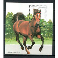 Сахара - 1995 - Лошадь - 1 блок. MNH.  (Лот 58JH)-TG2P21