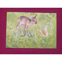 С Днём Рождения! Исаков 1986 г. Чистая.