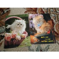 Открытки кошки Украина 1990е подписаны