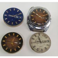 Лот чайка в проект!