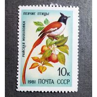 Марка СССР 1981 год Птицы