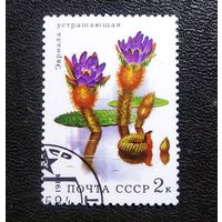 Марка СССР 1984 Водные растения