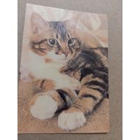 Календарик