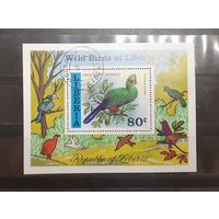 Либерия. Фауна. Птицы. Блок (403)