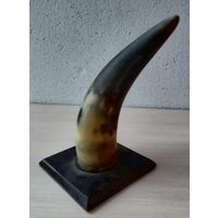 Рог обработанный Вешалка СССР