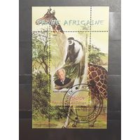 Конго. 2009 год. Фауна Африки. Блок (668)