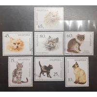 Албания. Фауна. Кошки (745)