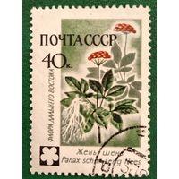 СССР 1960. Флора. Жень Шень. Марка из серии