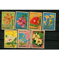 Экваториальная Гвинея - 1979 - Цветы - [Mi. A1435-A1441] - полная серия - 7 марок. MNH.  (Лот 60JC)-TG3P60
