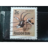 Родезия, 1974. Лошадиная антилопа