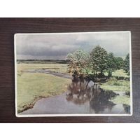 Перад навальнiцай. Рака Лясная. Белавежская пушча.