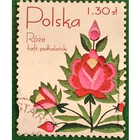 Польша 2005. Роза