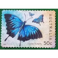 Австралия 2003. Бабочка Улисс