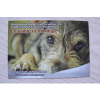 Календарик, 2016, Общественное объединение "Спасение животных" (грустный пёс :(