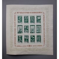 Болгария 1953г. Блок.Лекарственные растения.**