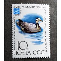 Марка СССР 1982 год Птицы