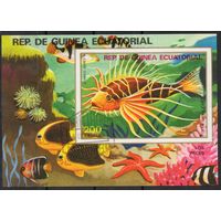 Экваториальная Гвинея 1975. Фауна. Рыбы. Блок (36)
