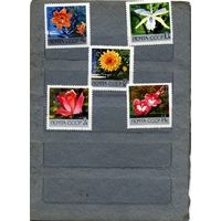 СССР, 1969,  Главный** ботанический сад АН в Москве ,     серия 5м  чистая