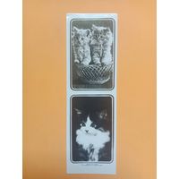Закладка Кооператив Зенит