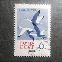 Марка СССР 1962 год Птицы