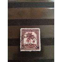 Бельгийская колония Конго флора (4-4)