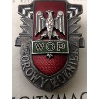 Wzorowy Zolnierz WOP. с документом на прапорщика СССР.