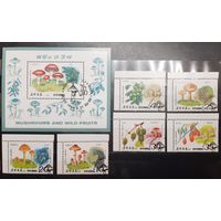 Корея. 1989 год. Флора. Грибы. Блок и 6 марок (978)