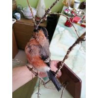 Панно настенное СССР